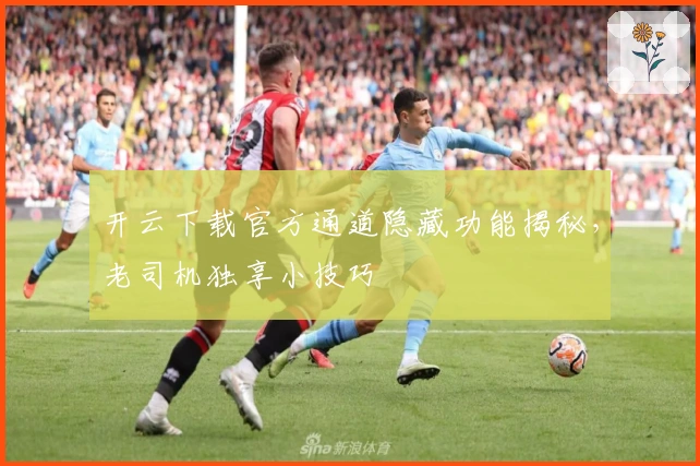 开云下载官方通道隐藏功能揭秘，老司机独享小技巧