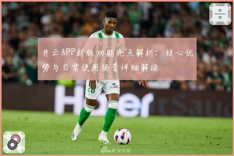 开云APP新版功能亮点解析：核心优势与日常使用场景详细解读