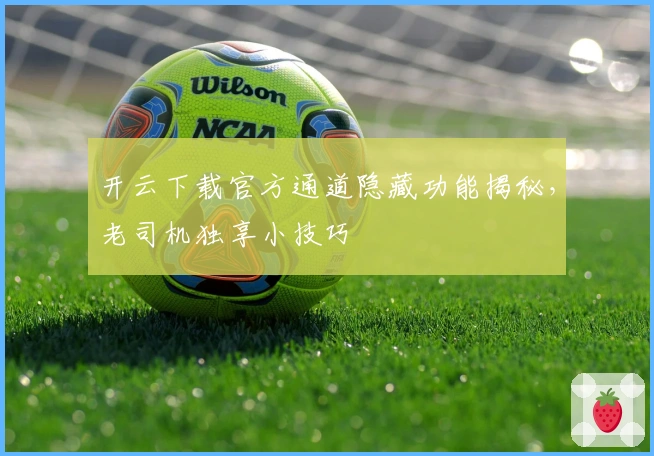 开云下载官方通道隐藏功能揭秘,老司机独享小技巧
