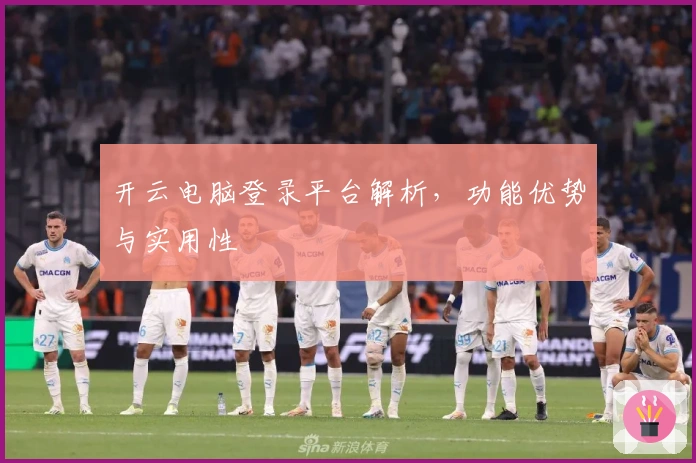 开云电脑登录平台解析，功能优势与实用性